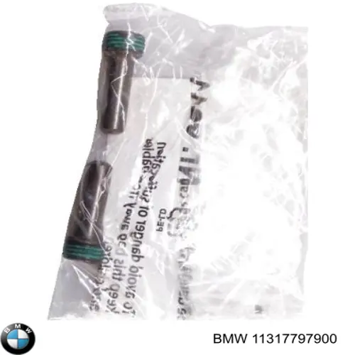 Perno del rodillo tensor de la correa de distribución BMW 11317797900 precio, desde 20,34 EUR