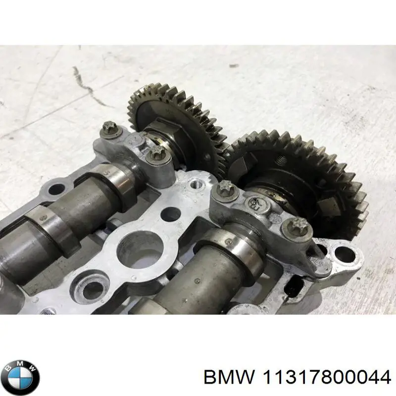 Comprar 11317800044 BMW Bancada del árbol de levas