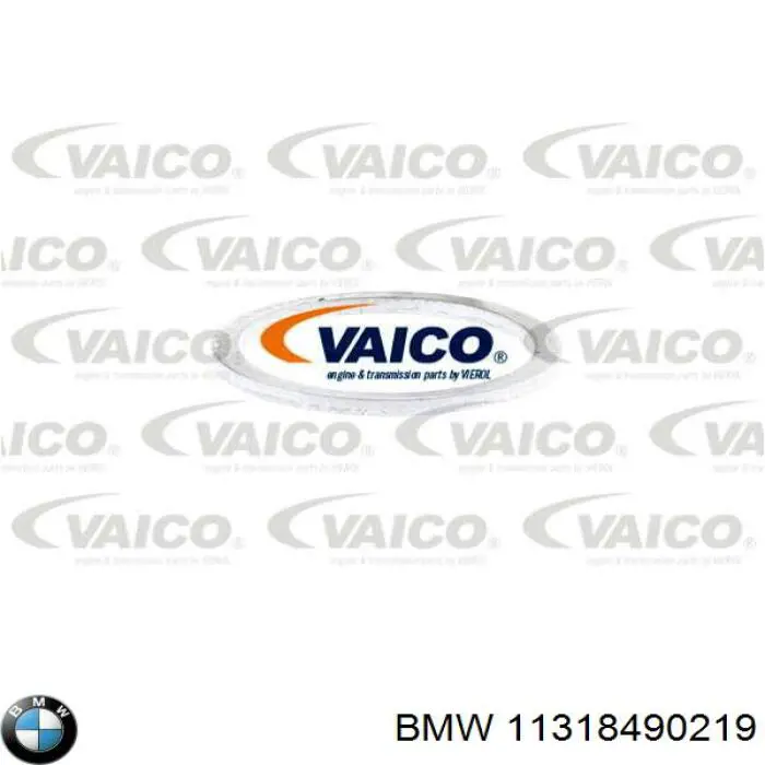 Comprar 11318490219 BMW Tensor de cadena de distribución