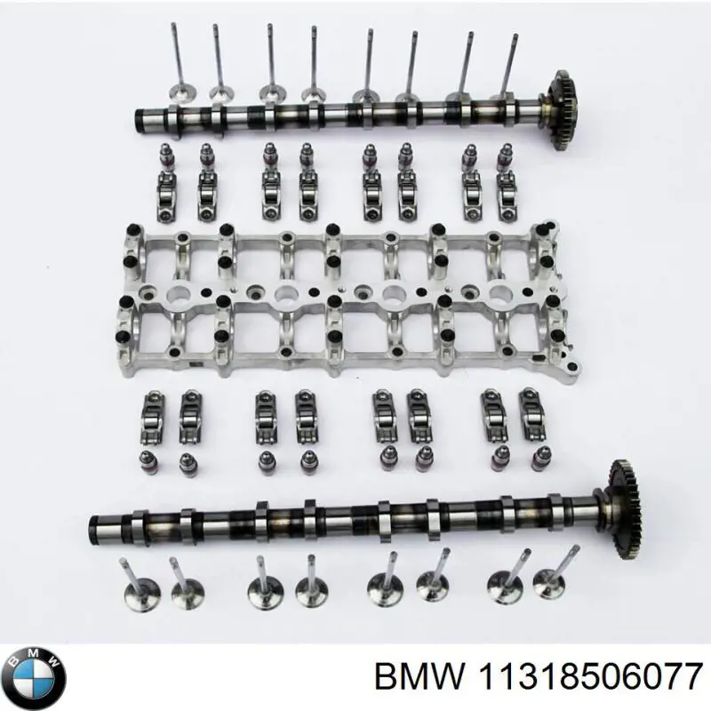Árbol de levas escape para BMW X1 (F48)