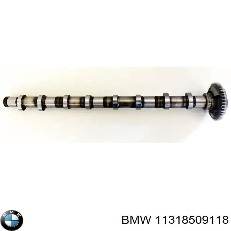 Árboles de levas BMW 11318509118 precio, desde 195,63 EUR