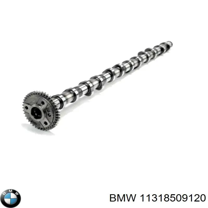 11317823930 BMW