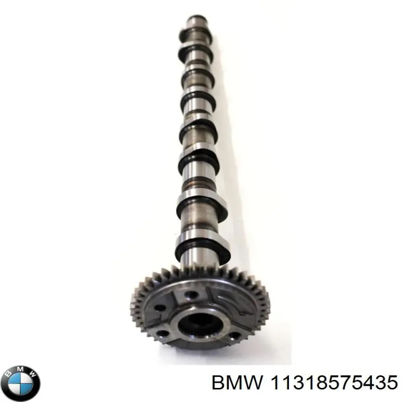 Árboles de levas BMW 11318575435 precio, desde 195,63 EUR