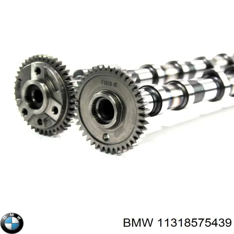Árboles de levas BMW 11318575439 precio, desde 286,93 EUR