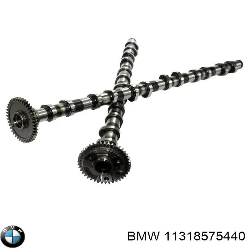 11318575440 BMW árbol de levas escape