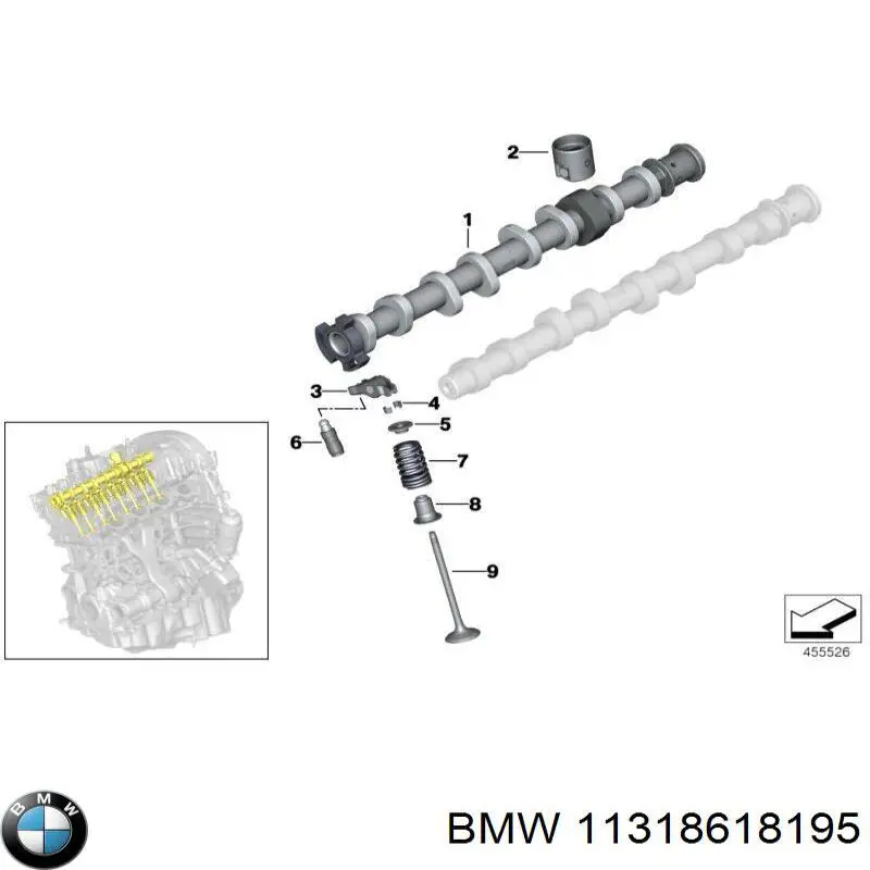 11318618195 BMW árbol de levas escape