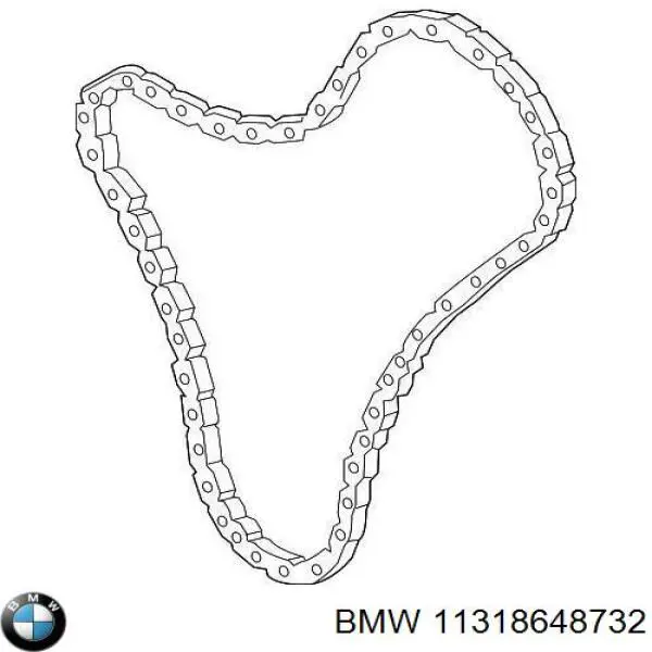 11318648732 BMW cadena de distribución