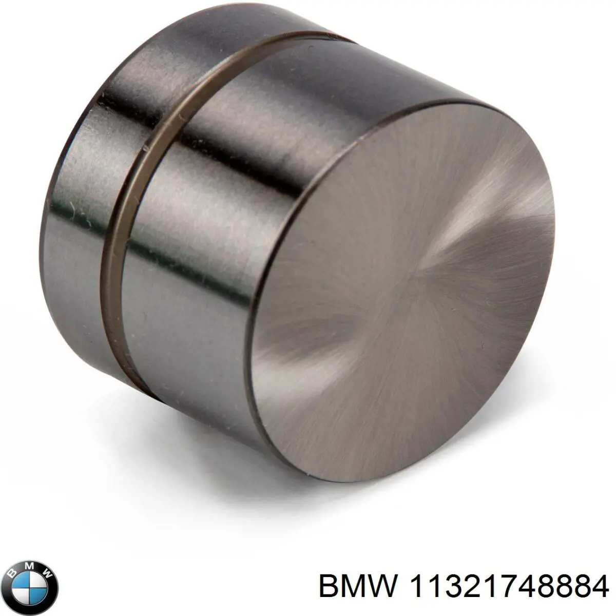 Taqués hidráulicos 11321748884 BMW
