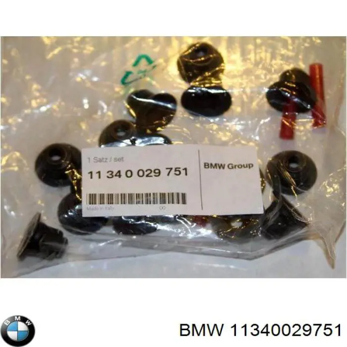 Juego de retenes de válvula de admisión y escape 11340029751 BMW