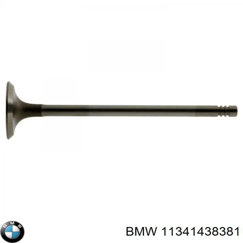 11341438381 BMW válvula de admisión