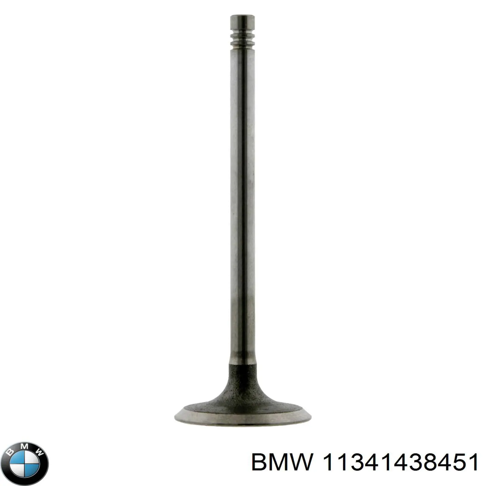 11341438451 BMW válvula de admisión