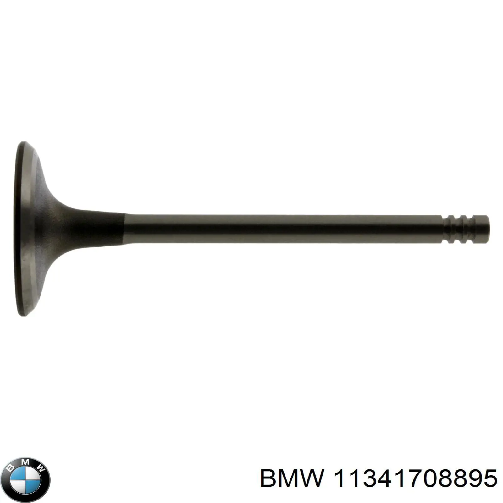 11341708895 BMW válvula de admisión