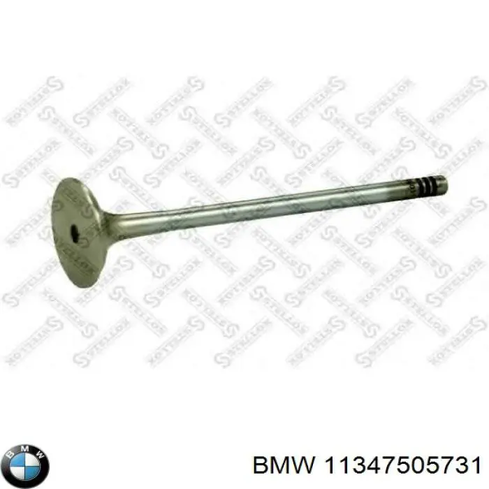 11347505731 BMW válvula de escape