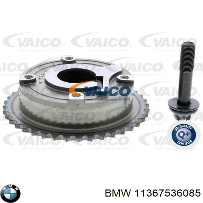 Engranaje del árbol de levas de escape 11367536085 BMW
