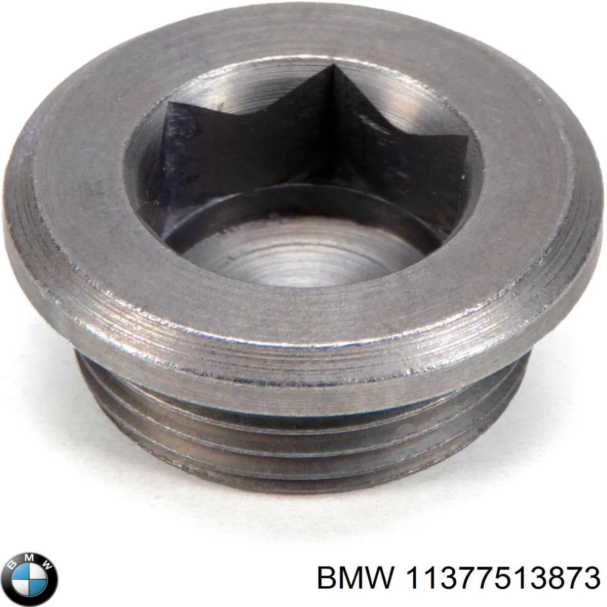  11377513873 BMW
