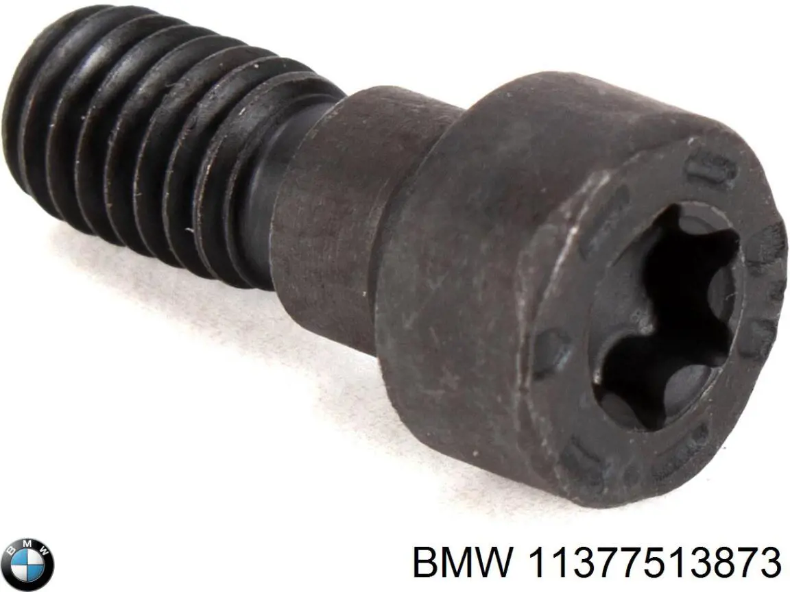 11377513873 BMW 