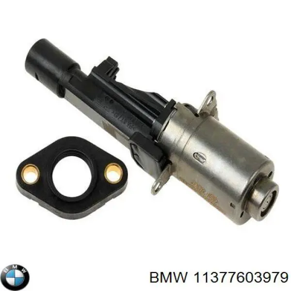 11377603979 BMW sincronizador de valvula