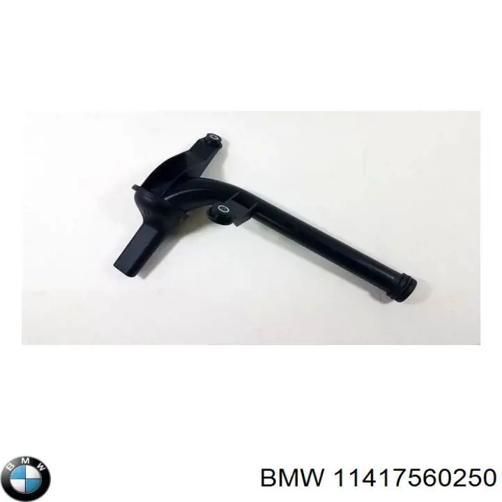Bomba De Aceite 11417560250 BMW