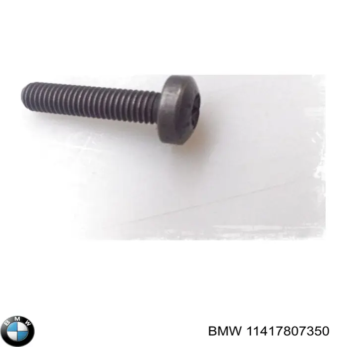 Juego de cadena de bomba de aceite BMW 11417807350 precio, desde 6,11 EUR