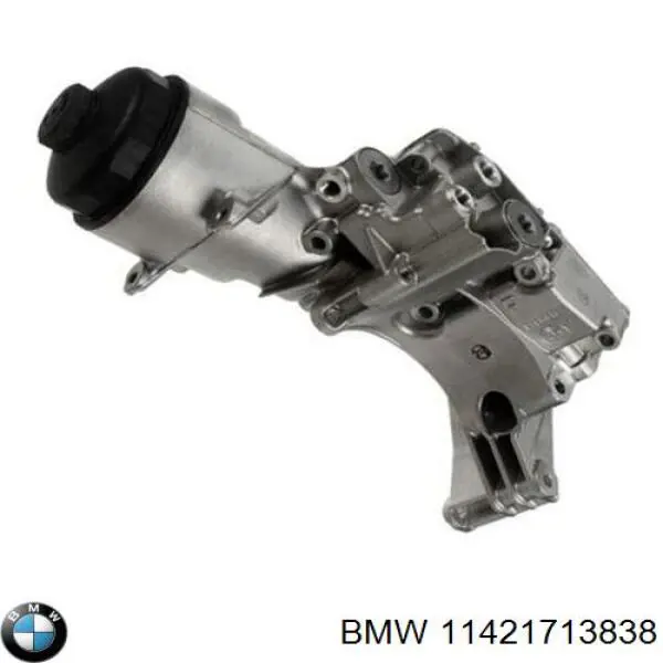 Caja, filtro de aceite para BMW X5 (E53)