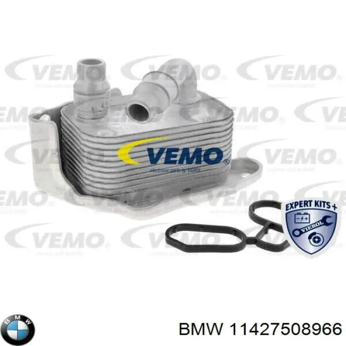 11427508966 BMW caja, filtro de aceite