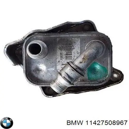 11427508967 BMW radiador de aceite, bajo de filtro