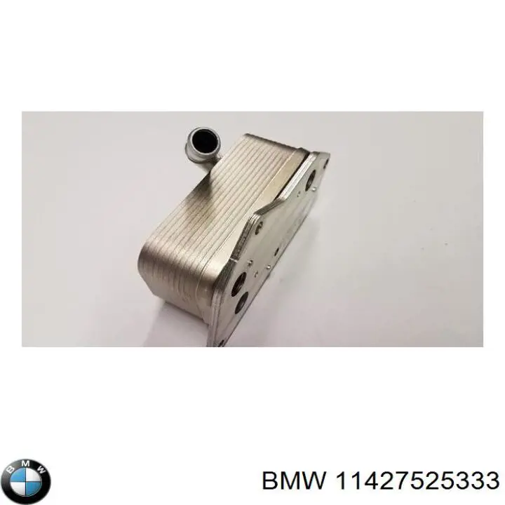 11427525333 BMW radiador de aceite, bajo de filtro
