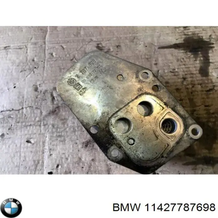 11427787698 BMW radiador de aceite