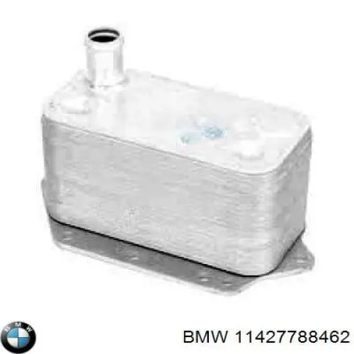 11427788462 BMW radiador de aceite, bajo de filtro