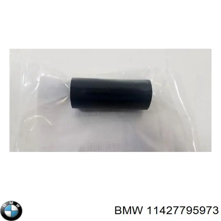 Comprar 11427795973 BMW 