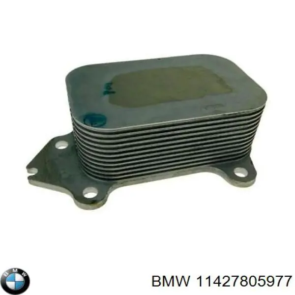 11427805977 BMW radiador de aceite, bajo de filtro