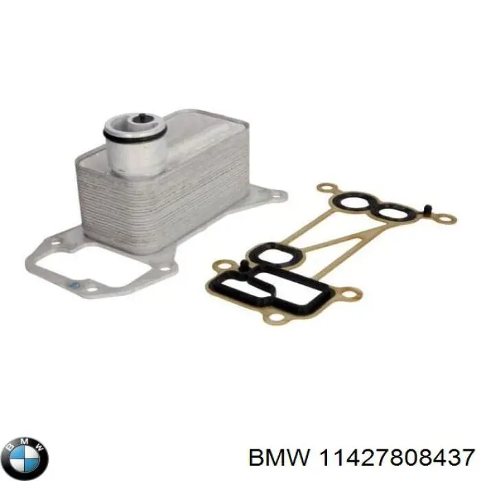 11427808437 BMW junta de radiador de aceite