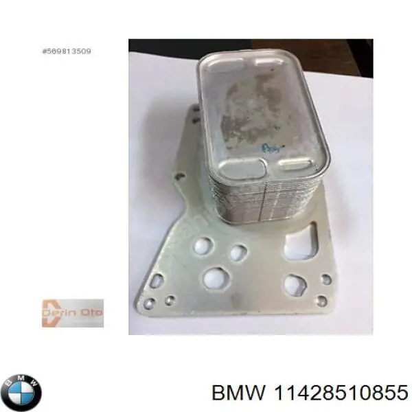 11428510855 BMW radiador de aceite