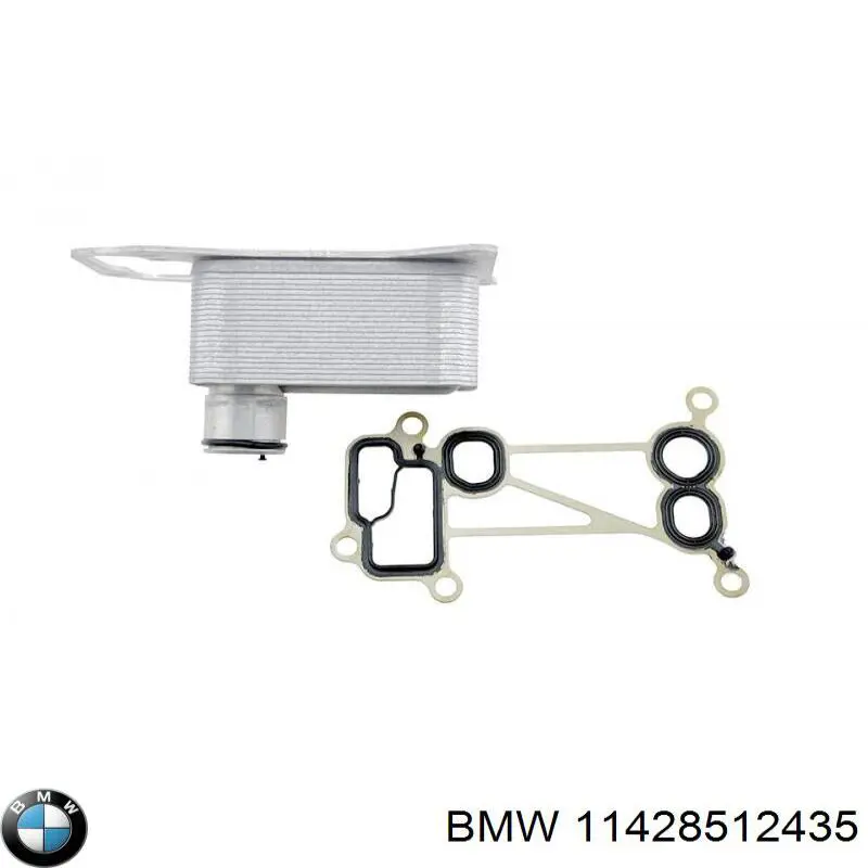 11428512435 BMW junta de radiador de aceite