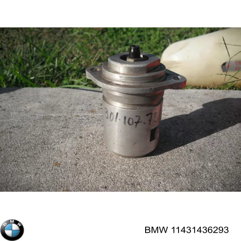 11431436293 BMW varilla del nivel de aceite