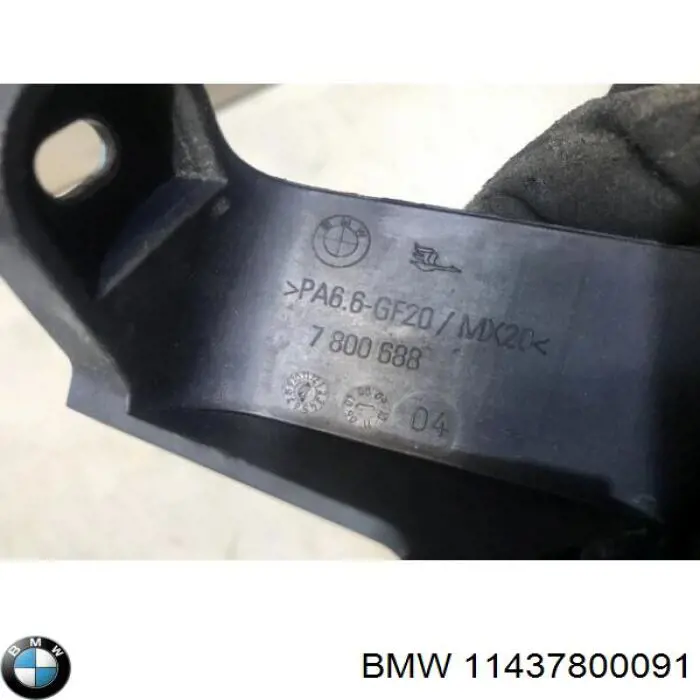 11437800091 BMW varilla del nivel de aceite