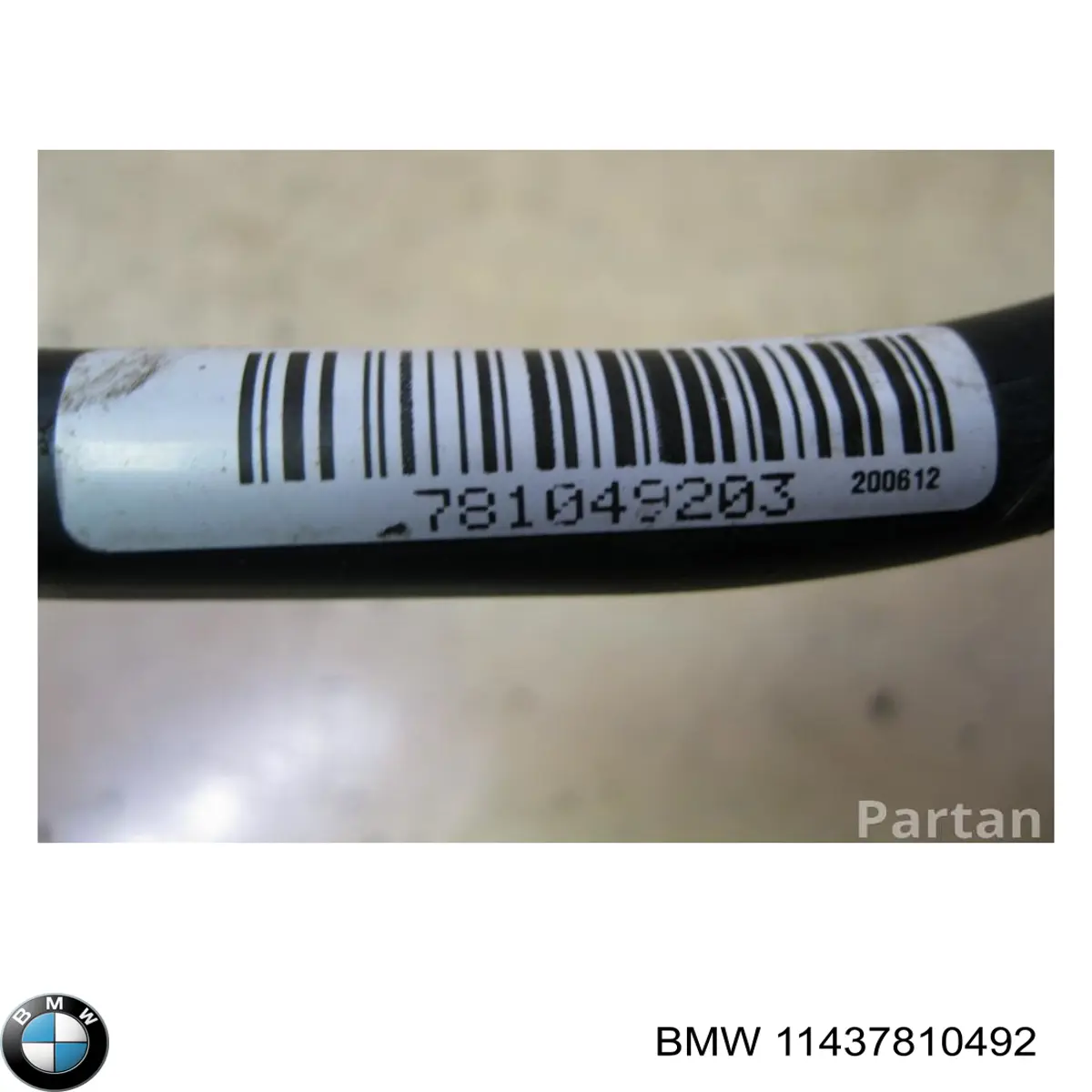 11437810493 BMW embudo, varilla del aceite, motor