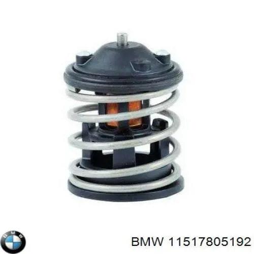 Comprar 11517805192 BMW Termostato