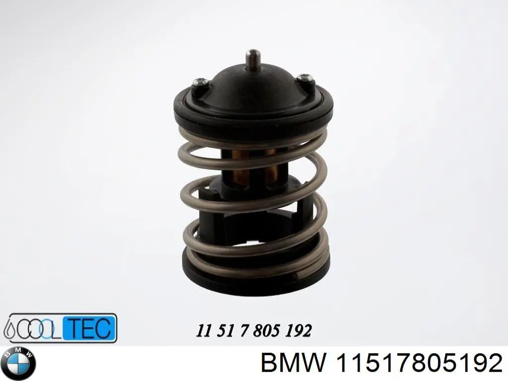 Termostato BMW 11517805192 precio, desde 22,58 EUR