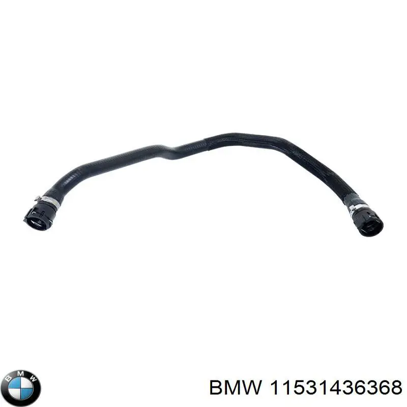 Manguera inferior del radiador BMW 11531436368 precio, desde 29,86 EUR