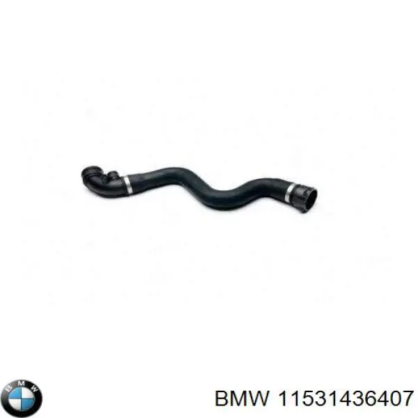 11531436407 BMW tubería de radiador arriba