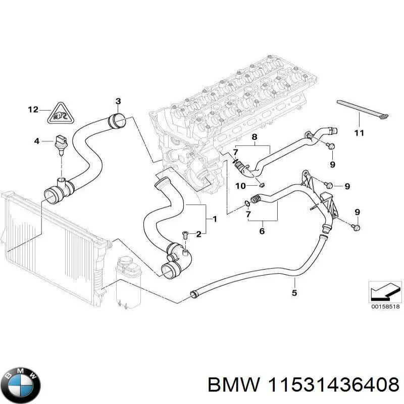 Manguera inferior del radiador BMW 11531436408 precio, desde 25,71 EUR