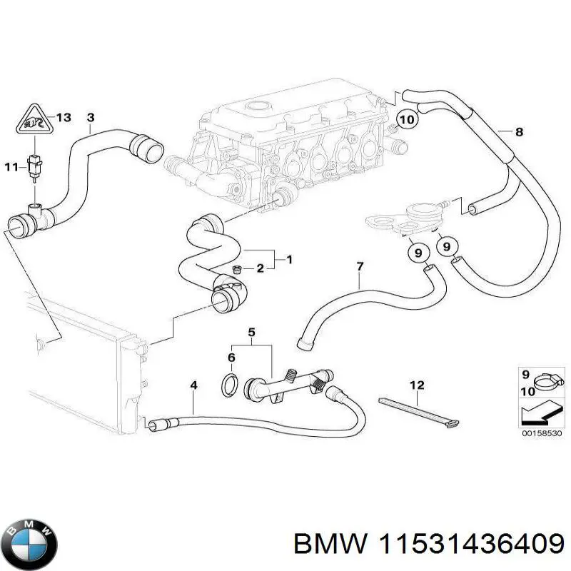 Manguera inferior del radiador BMW 11531436409 precio, desde 23,47 EUR