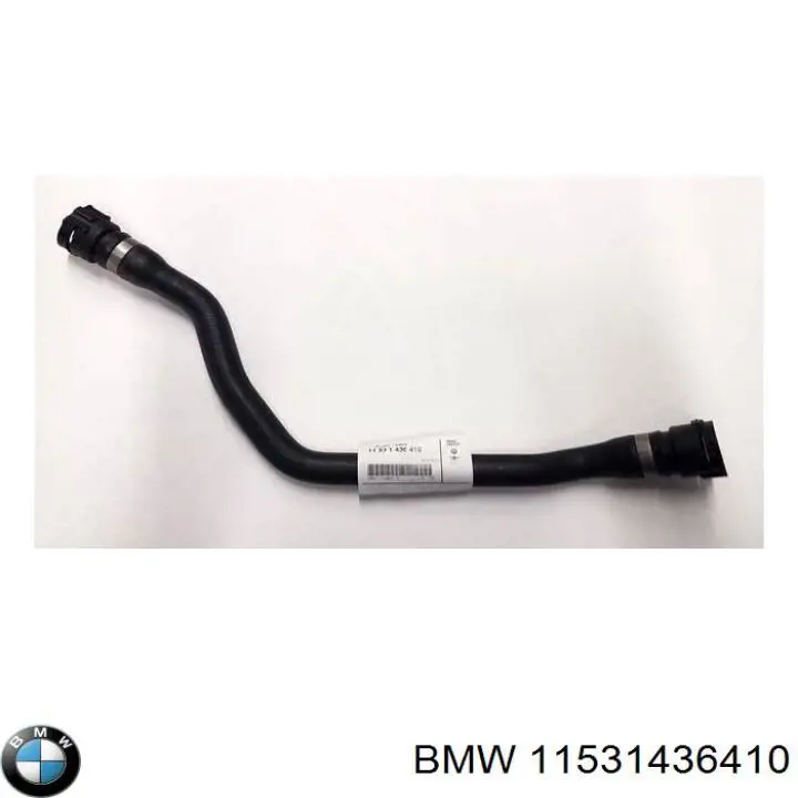 11531436410 BMW manguera refrigerante para radiador inferiora