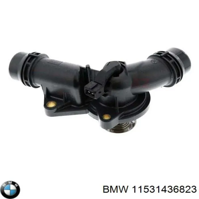Termostato BMW 11531436823 precio, desde 48,00 EUR