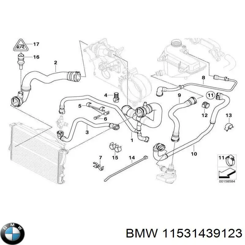 11531439123 BMW tubería de radiador, tuberia flexible calefacción, superior