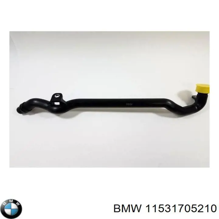 Manguito de radiador BMW 11531705210