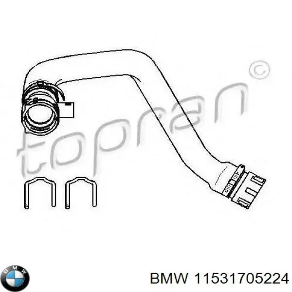 Manguera inferior del radiador BMW 11531705224 precio, desde 20,26 EUR