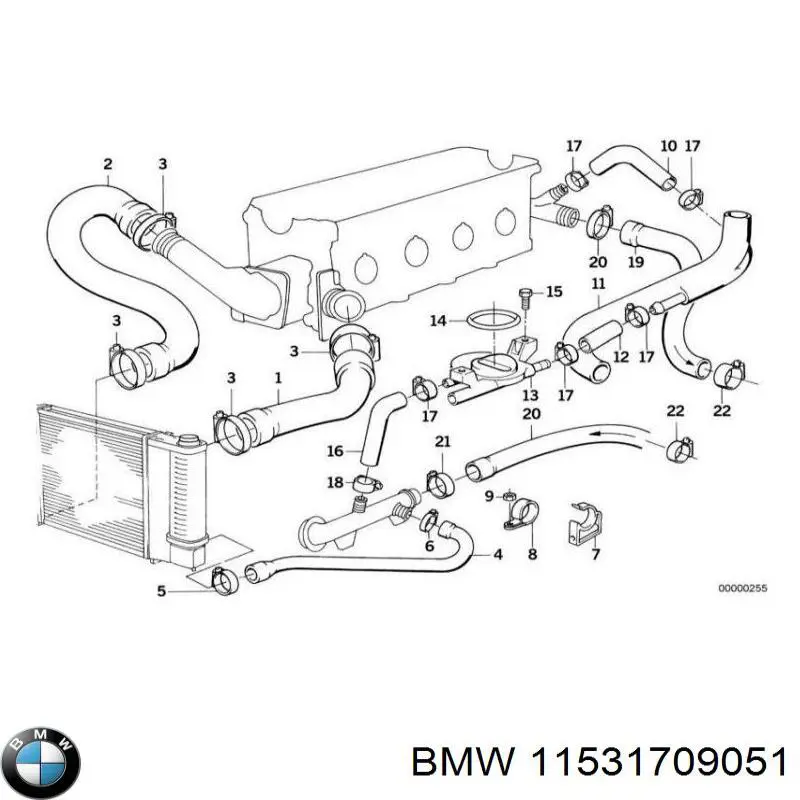 11531709051 BMW tubería de radiador arriba