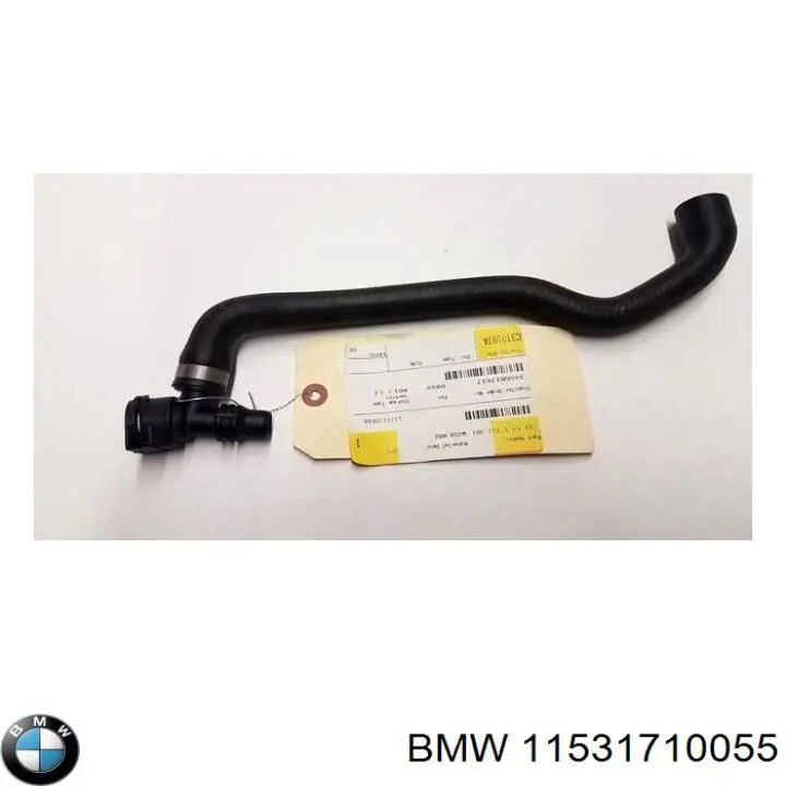 11531710055 BMW junta, bomba de agua